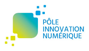 logo PIN